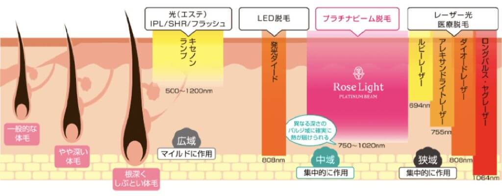 プラチナビーム脱毛の届く領域のイメージ図